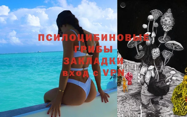 трава Абаза