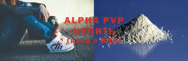 прущие грибы Абдулино