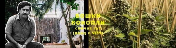 прущие грибы Абдулино